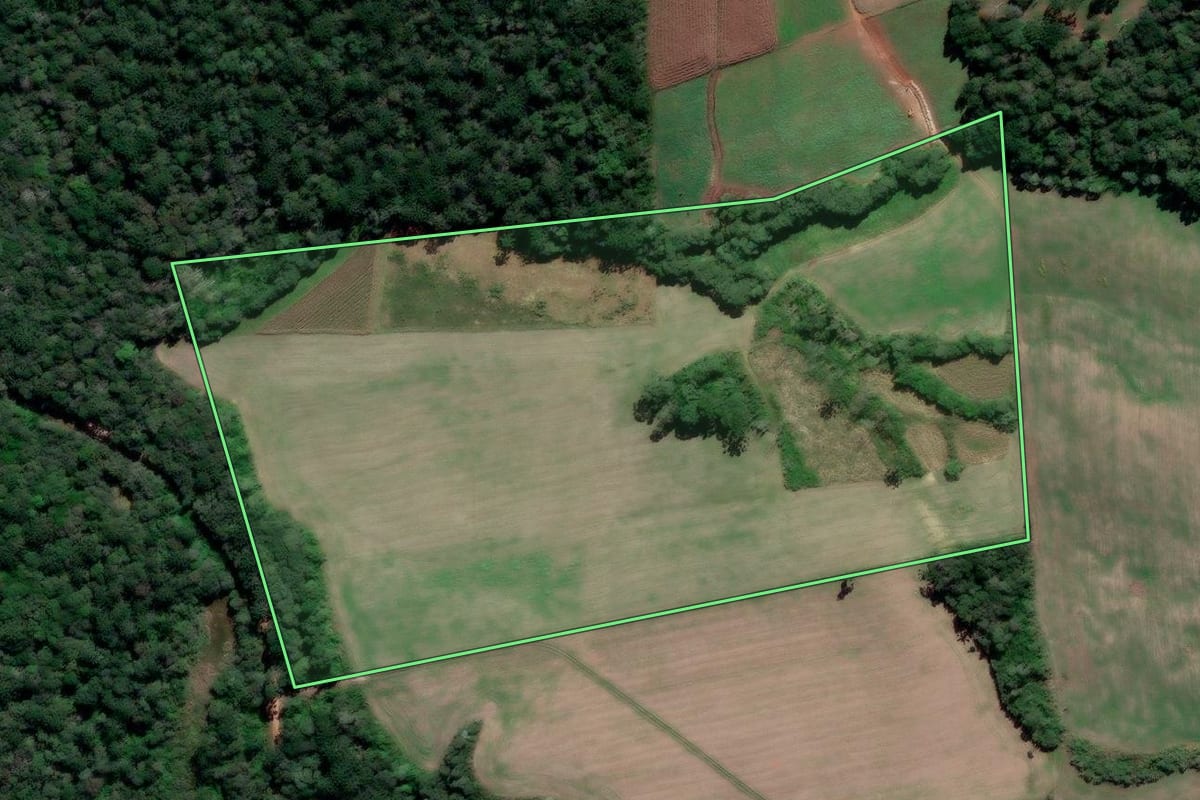 Imagem de satélite do imóvel rural em Prudentópolis (PR), com o contorno declarado no CAR desenhado por cima.