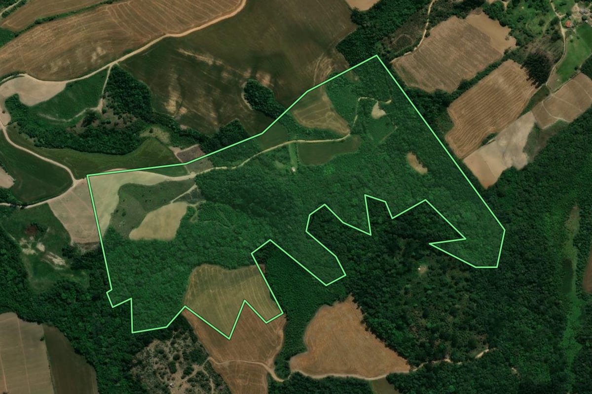 Imagem de satélite do imóvel rural em Prudentópolis (PR), com o contorno declarado no CAR desenhado por cima.