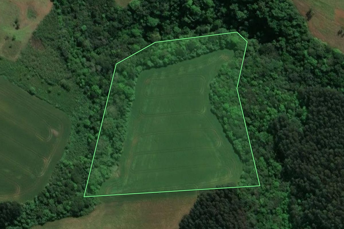 Imagem de satélite do imóvel rural em Prudentópolis (PR), com o contorno declarado no CAR desenhado por cima.