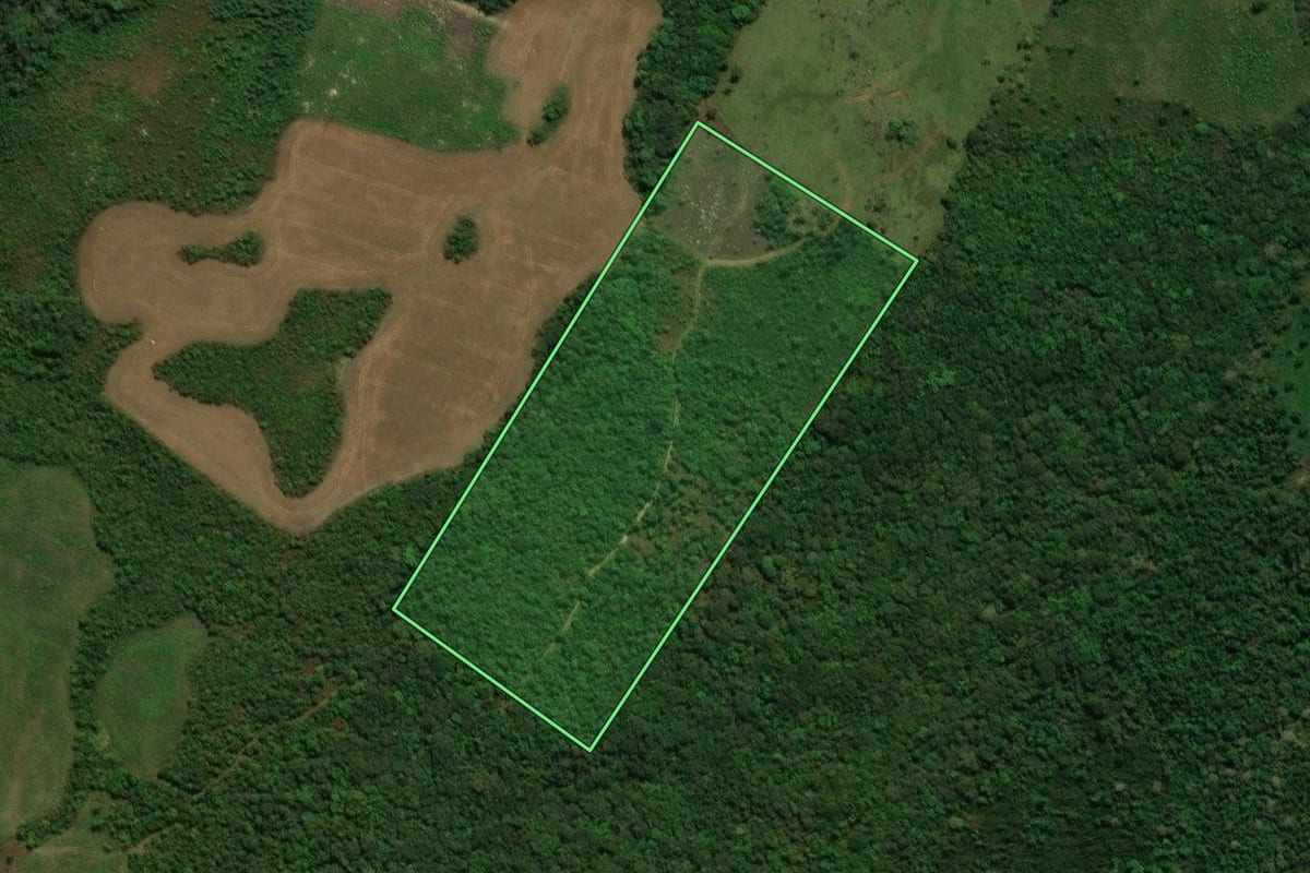 Imagem de satélite do imóvel rural em Prudentópolis (PR), com o contorno declarado no CAR desenhado por cima.