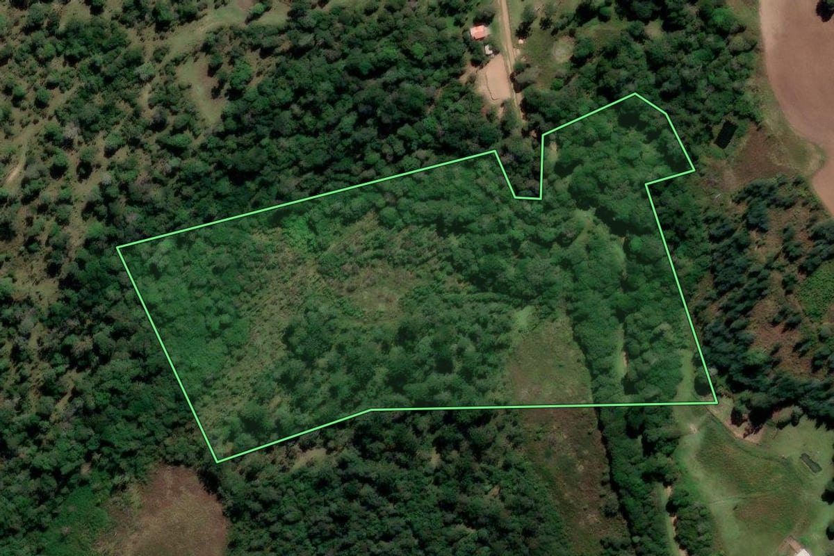 Imagem de satélite do imóvel rural em Prudentópolis (PR), com o contorno declarado no CAR desenhado por cima.