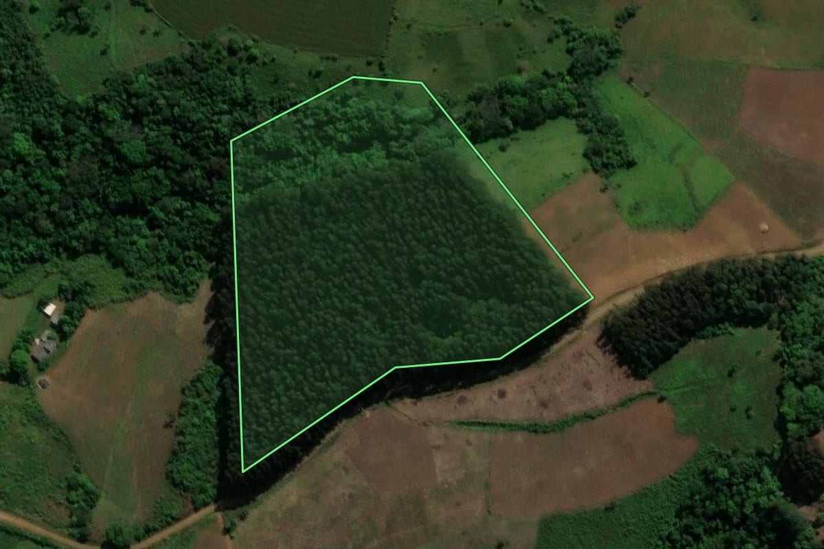 Imagem de satélite do imóvel rural em Prudentópolis (PR), com o contorno declarado no CAR desenhado por cima.