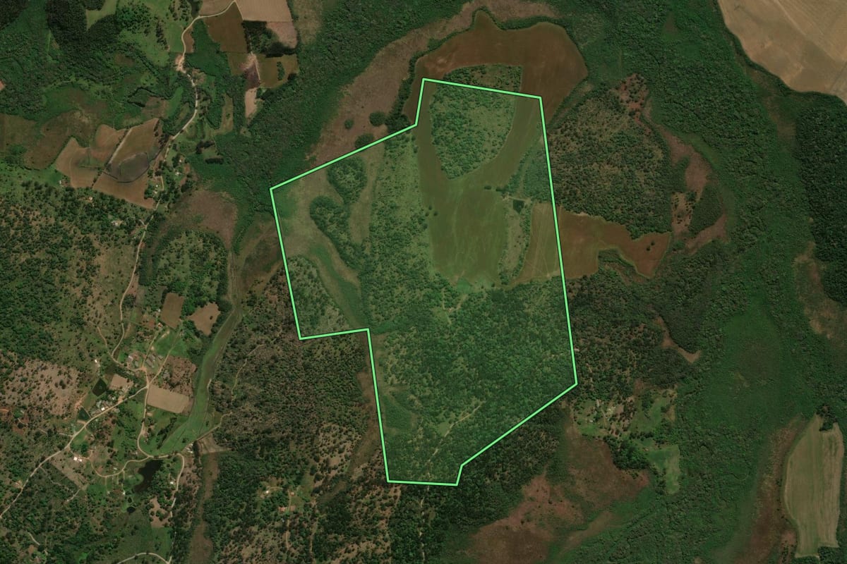 Imagem de satélite do imóvel rural em Prudentópolis (PR), com o contorno declarado no CAR desenhado por cima.