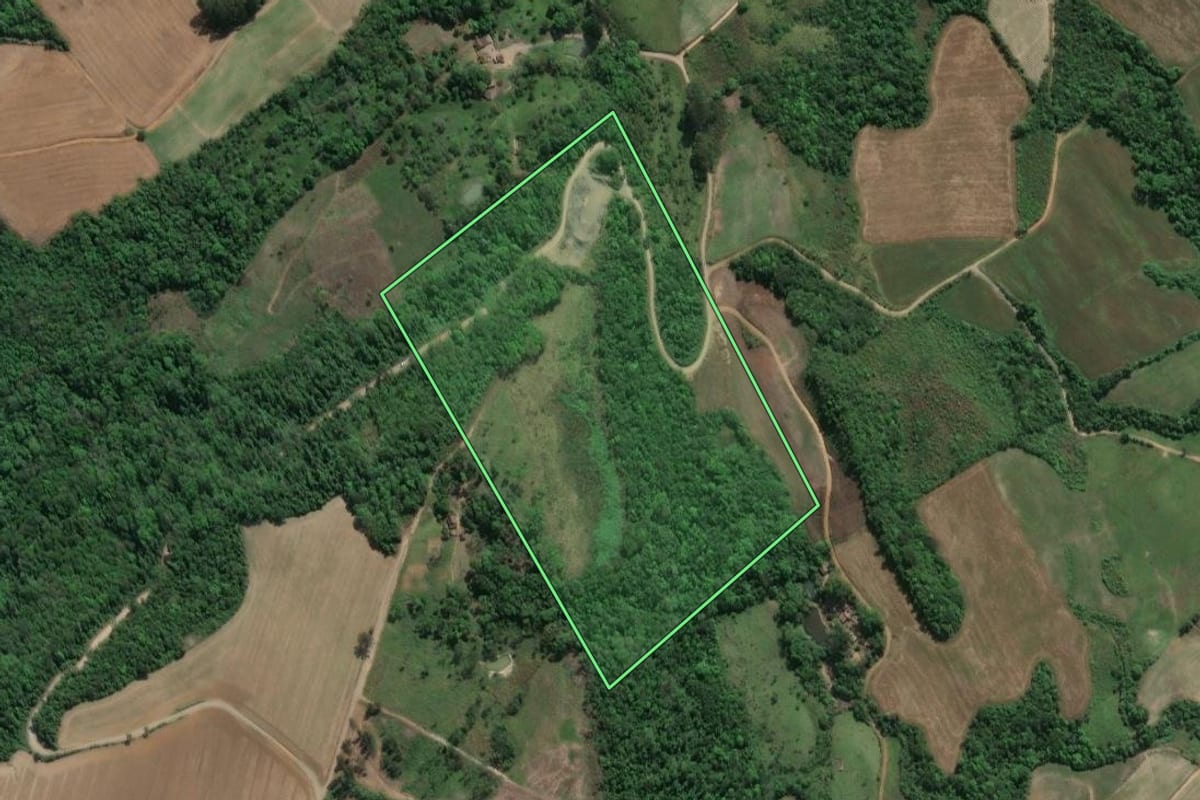 Imagem de satélite do imóvel rural em Prudentópolis (PR), com o contorno declarado no CAR desenhado por cima.