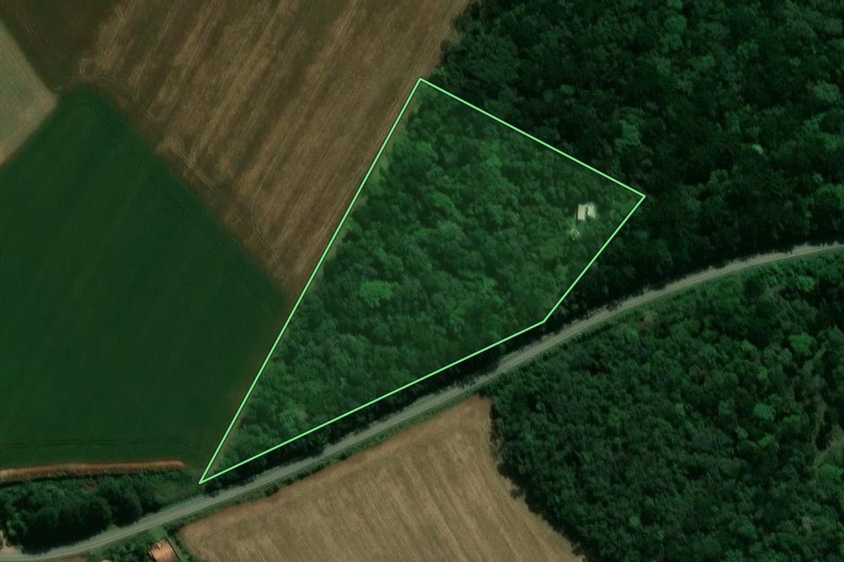 Imagem de satélite do imóvel rural em Prudentópolis (PR), com o contorno declarado no CAR desenhado por cima.