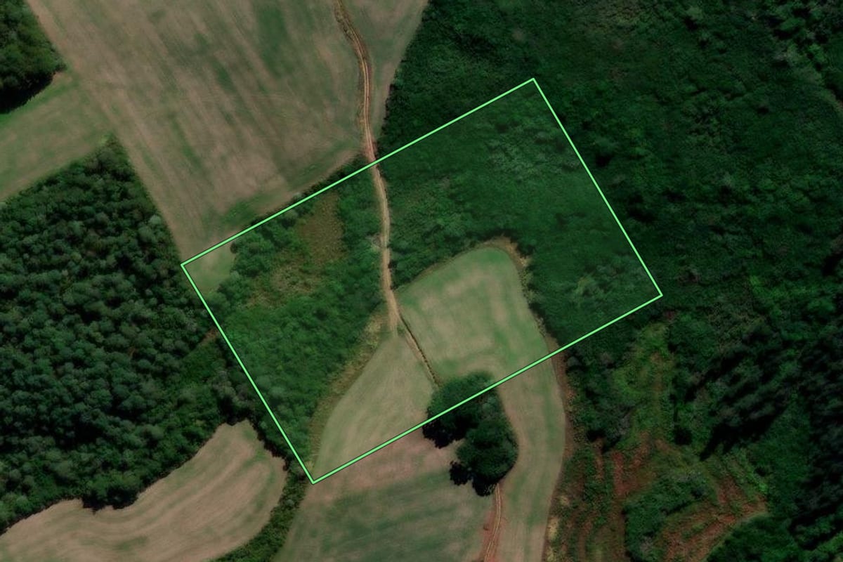 Imagem de satélite do imóvel rural em Prudentópolis (PR), com o contorno declarado no CAR desenhado por cima.