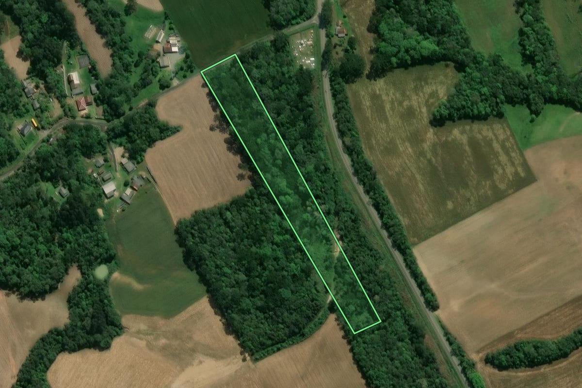Imagem de satélite do imóvel rural em Prudentópolis (PR), com o contorno declarado no CAR desenhado por cima.