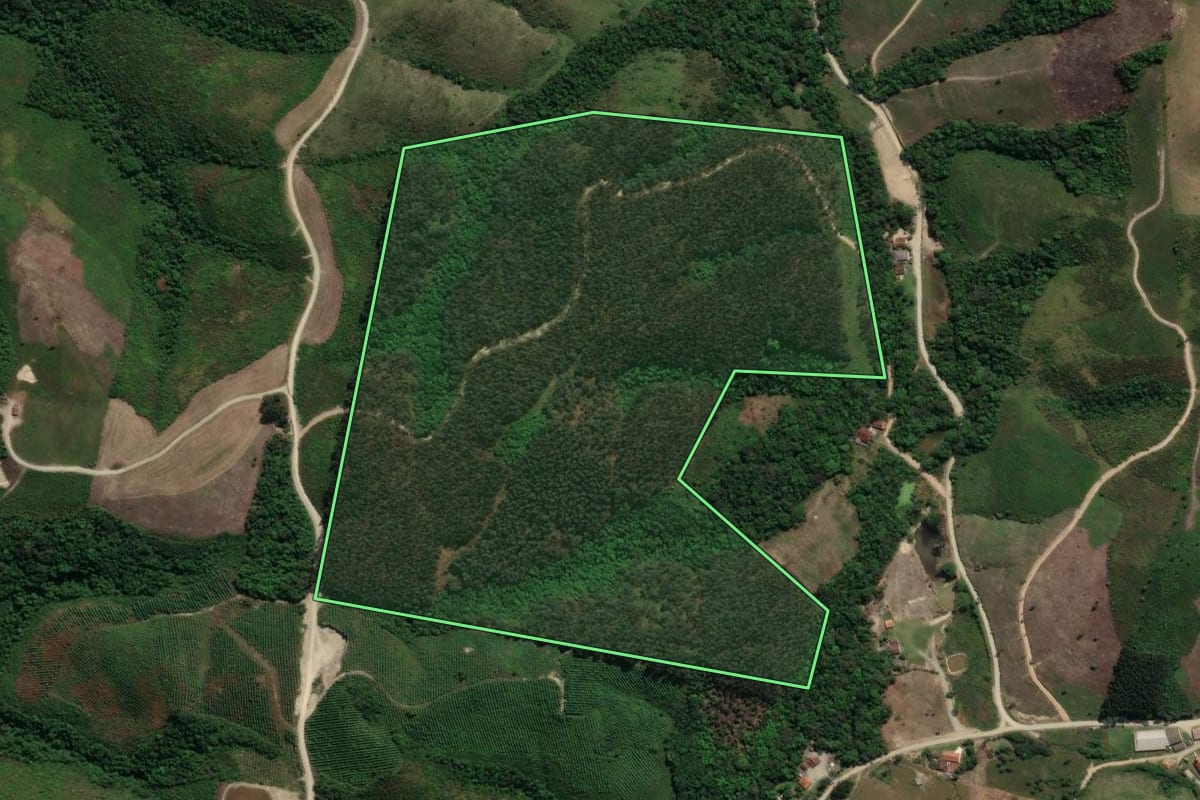 Imagem de satélite do imóvel rural em Prudentópolis (PR), com o contorno declarado no CAR desenhado por cima.