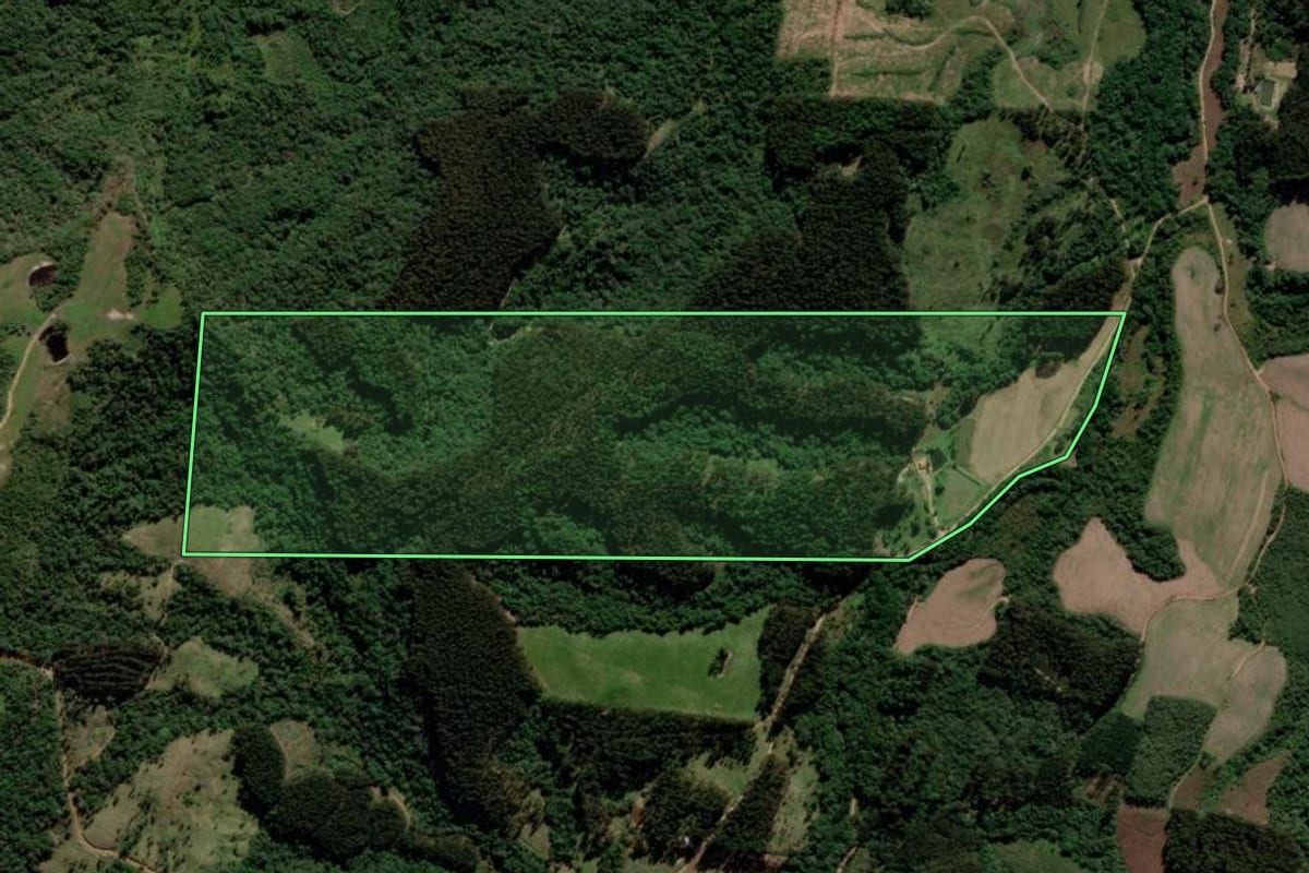Imagem de satélite do imóvel rural em Prudentópolis (PR), com o contorno declarado no CAR desenhado por cima.