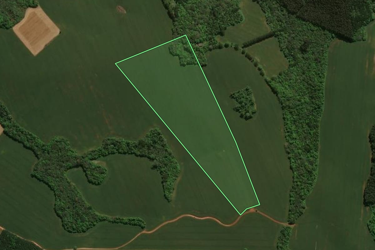 Imagem de satélite do imóvel rural em Prudentópolis (PR), com o contorno declarado no CAR desenhado por cima.