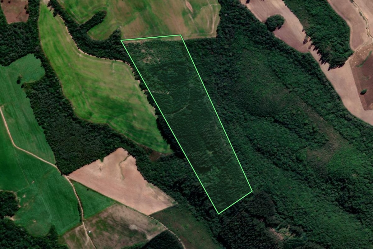 Imagem de satélite do imóvel rural em Prudentópolis (PR), com o contorno declarado no CAR desenhado por cima.