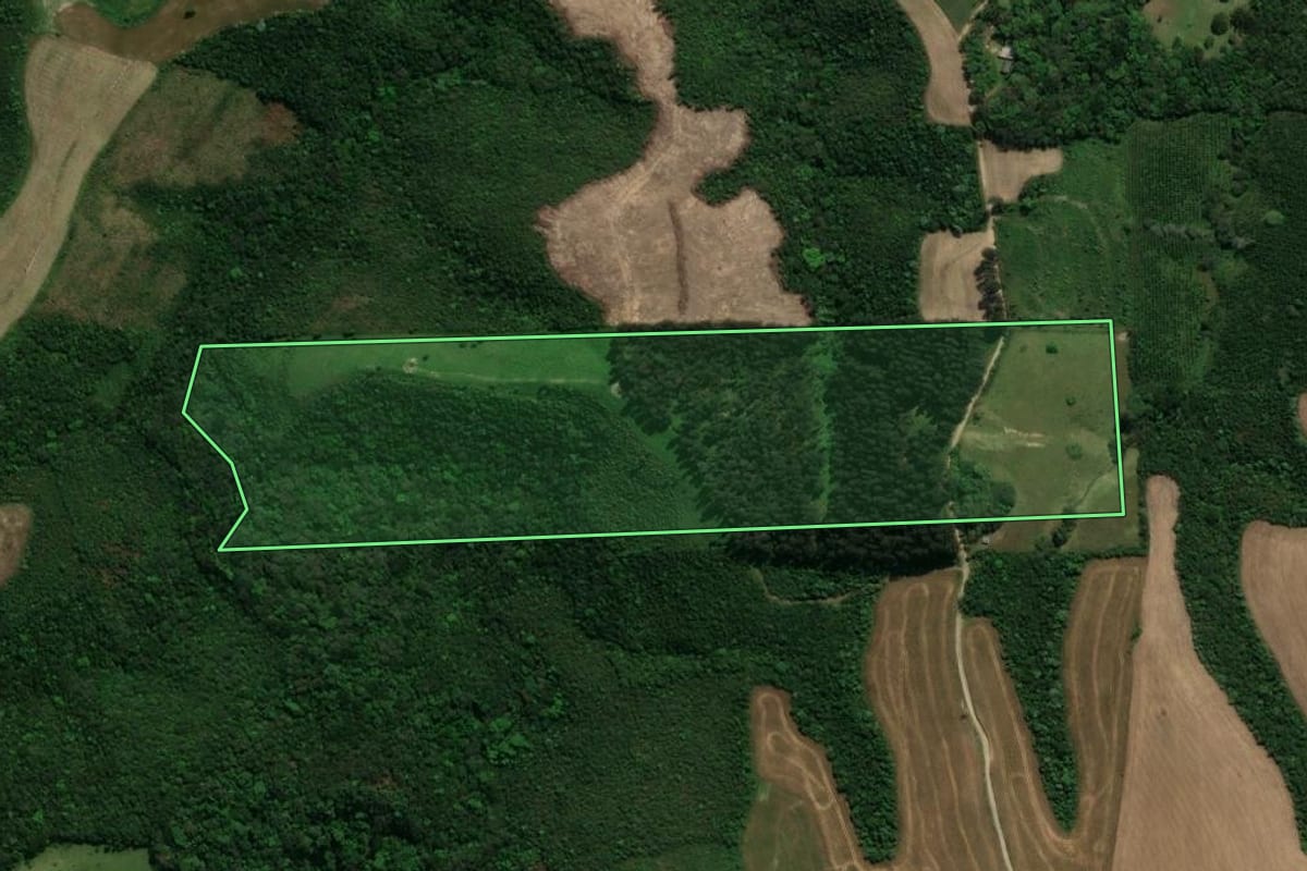 Imagem de satélite do imóvel rural em Prudentópolis (PR), com o contorno declarado no CAR desenhado por cima.