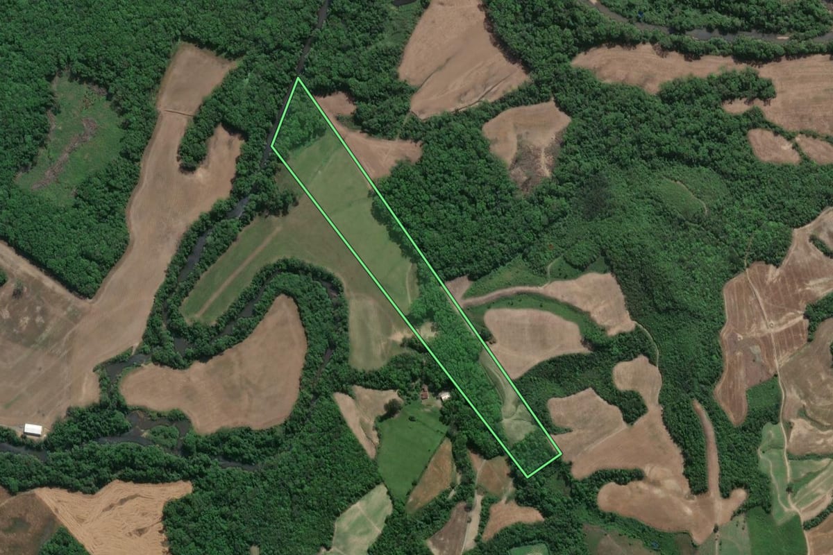 Imagem de satélite do imóvel rural em Prudentópolis (PR), com o contorno declarado no CAR desenhado por cima.
