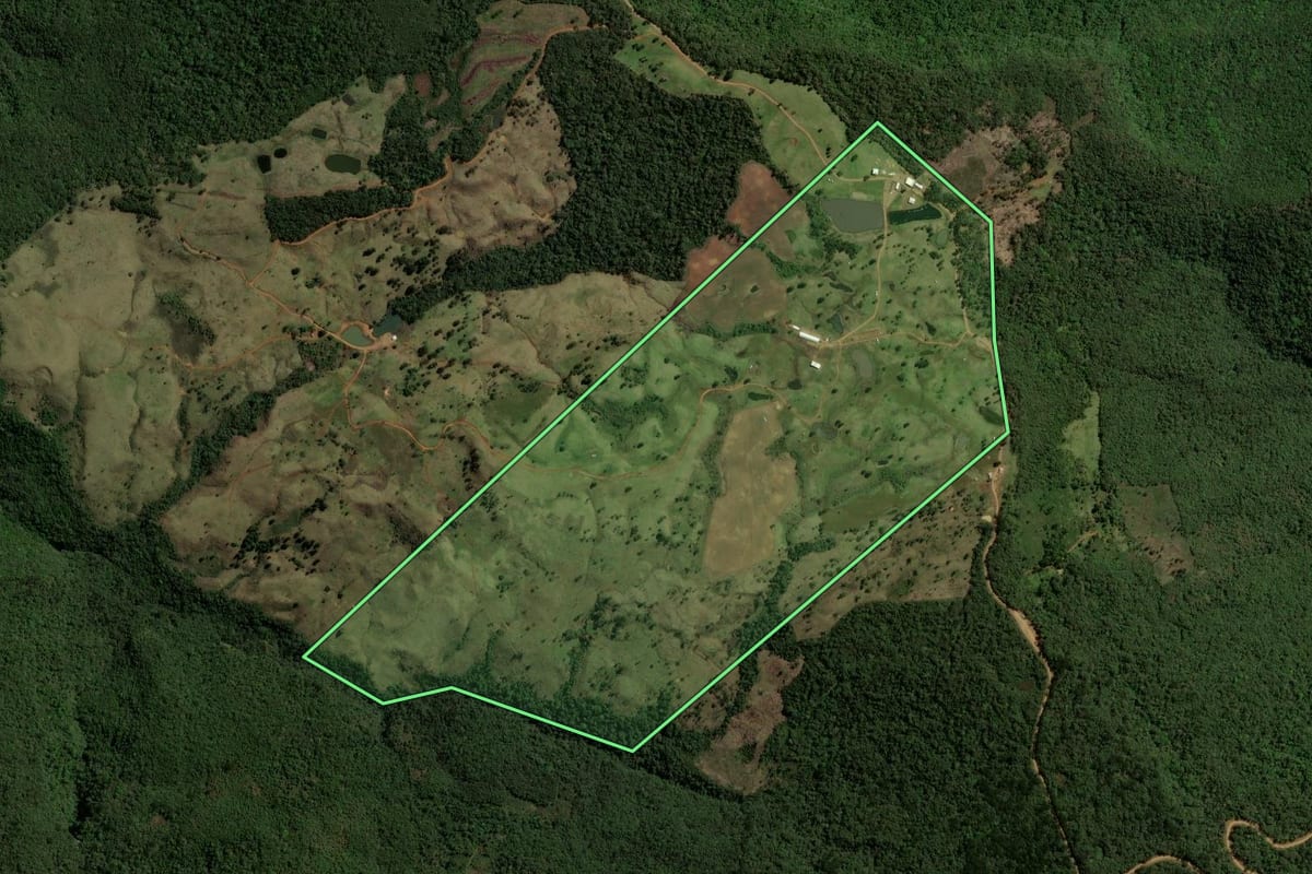 Imagem de satélite do imóvel rural em Guarapuava (PR), com o contorno declarado no CAR desenhado por cima.
