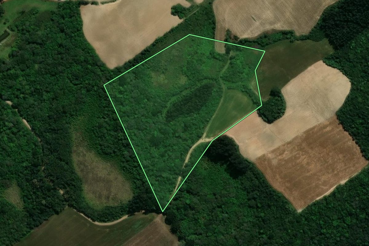 Imagem de satélite do imóvel rural em Prudentópolis (PR), com o contorno declarado no CAR desenhado por cima.