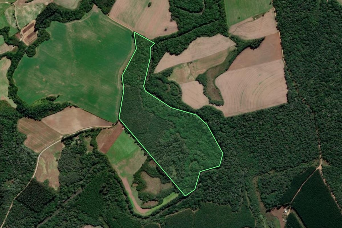 Imagem de satélite do imóvel rural em Prudentópolis (PR), com o contorno declarado no CAR desenhado por cima.