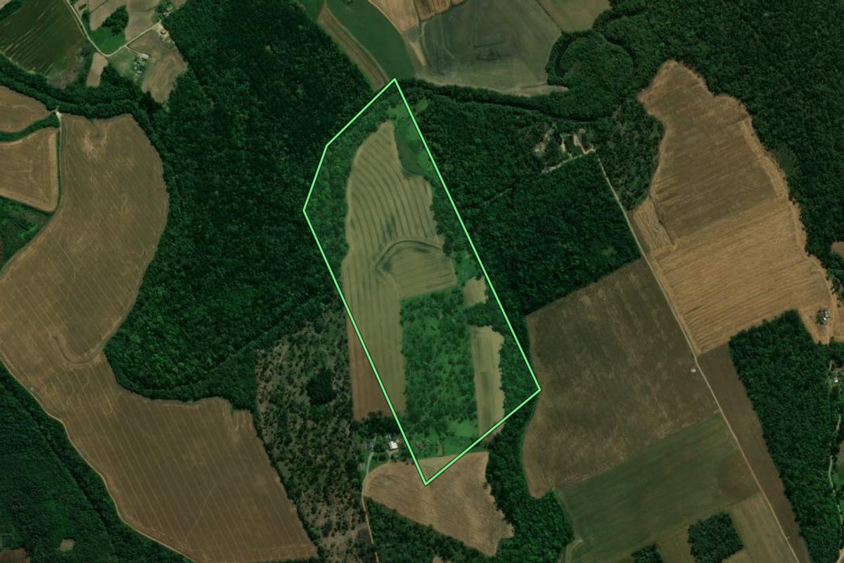 Imagem de satélite do imóvel rural em Prudentópolis (PR), com o contorno declarado no CAR desenhado por cima.