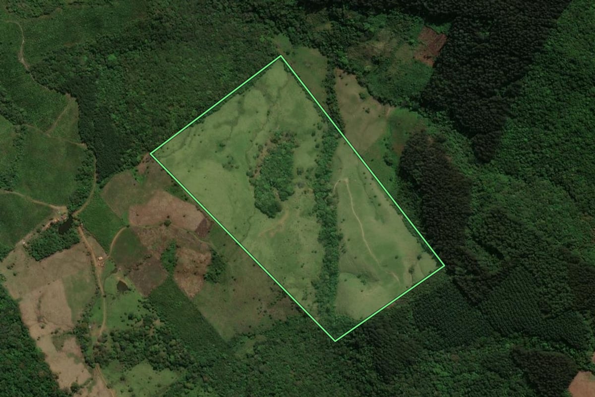 Imagem de satélite do imóvel rural em Prudentópolis (PR), com o contorno declarado no CAR desenhado por cima.
