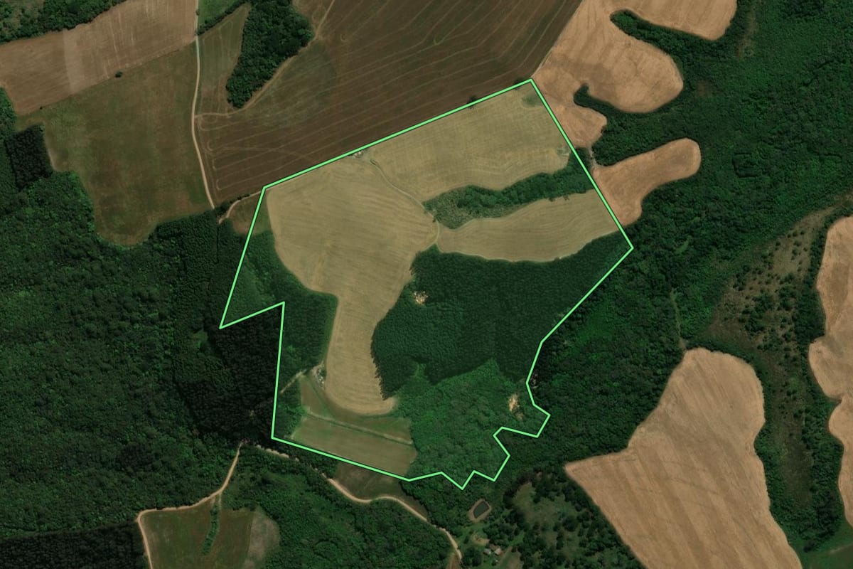 Imagem de satélite do imóvel rural em Prudentópolis (PR), com o contorno declarado no CAR desenhado por cima.