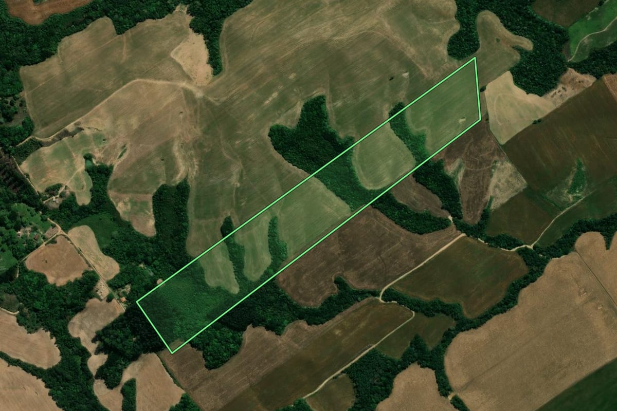 Imagem de satélite do imóvel rural em Prudentópolis (PR), com o contorno declarado no CAR desenhado por cima.