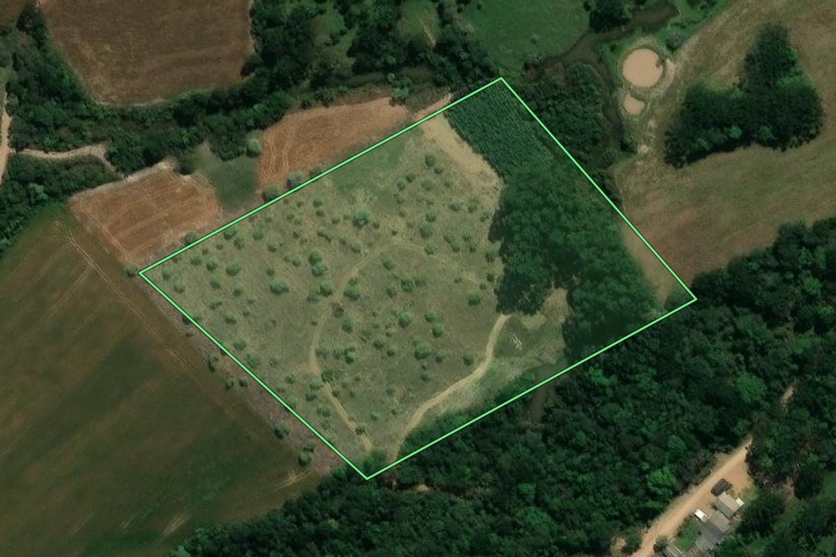 Imagem de satélite do imóvel rural em Prudentópolis (PR), com o contorno declarado no CAR desenhado por cima.