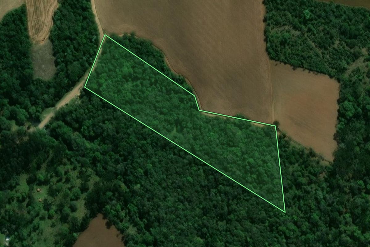 Imagem de satélite do imóvel rural em Prudentópolis (PR), com o contorno declarado no CAR desenhado por cima.
