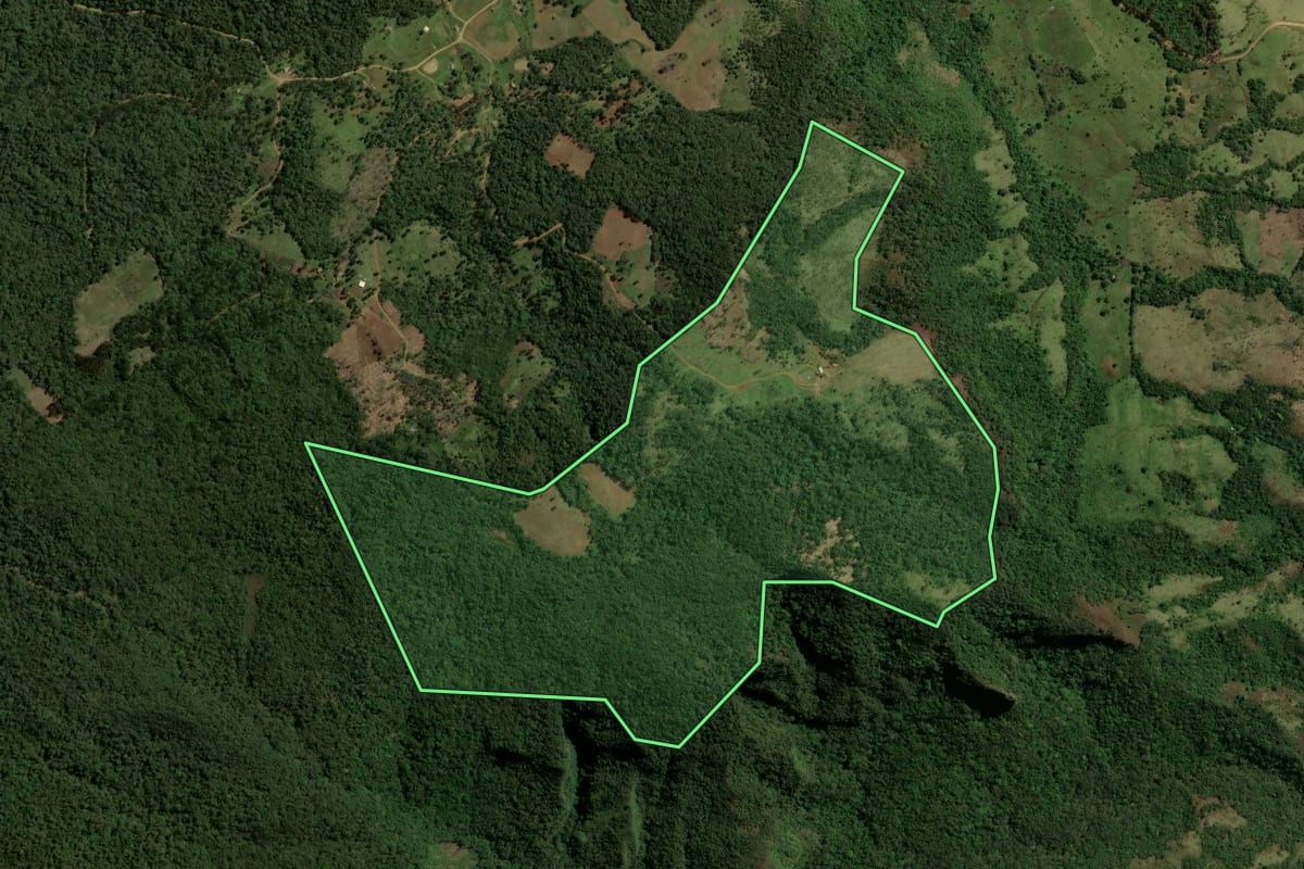 Imagem de satélite do imóvel rural em Prudentópolis (PR), com o contorno declarado no CAR desenhado por cima.