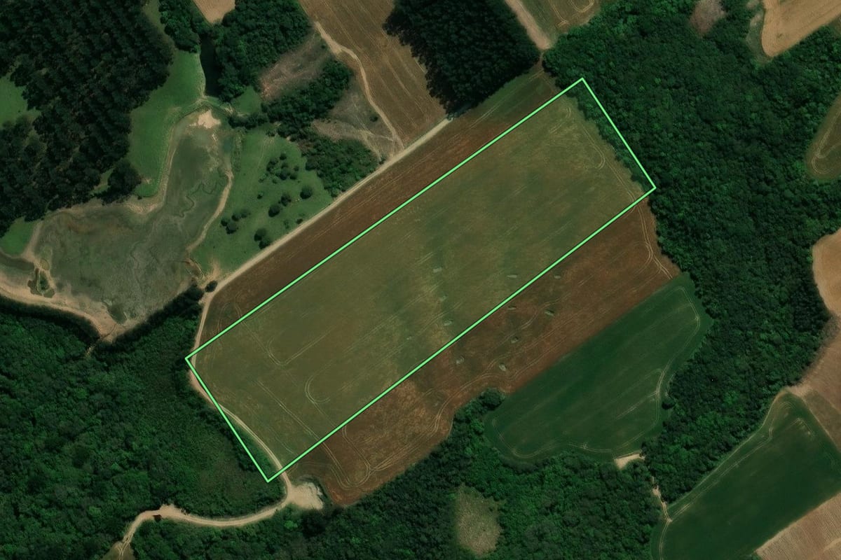 Imagem de satélite do imóvel rural em Prudentópolis (PR), com o contorno declarado no CAR desenhado por cima.