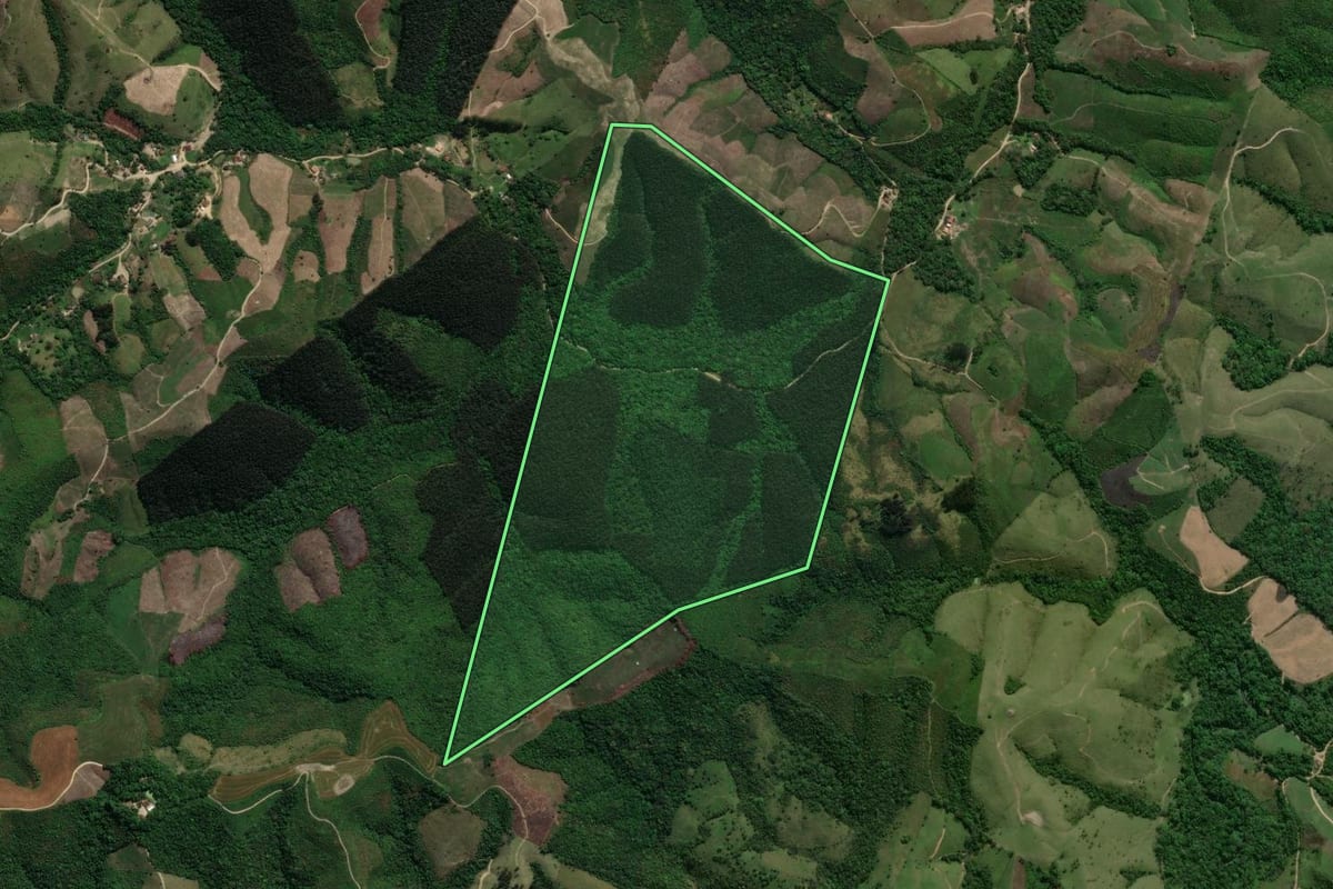 Imagem de satélite do imóvel rural em Prudentópolis (PR), com o contorno declarado no CAR desenhado por cima.