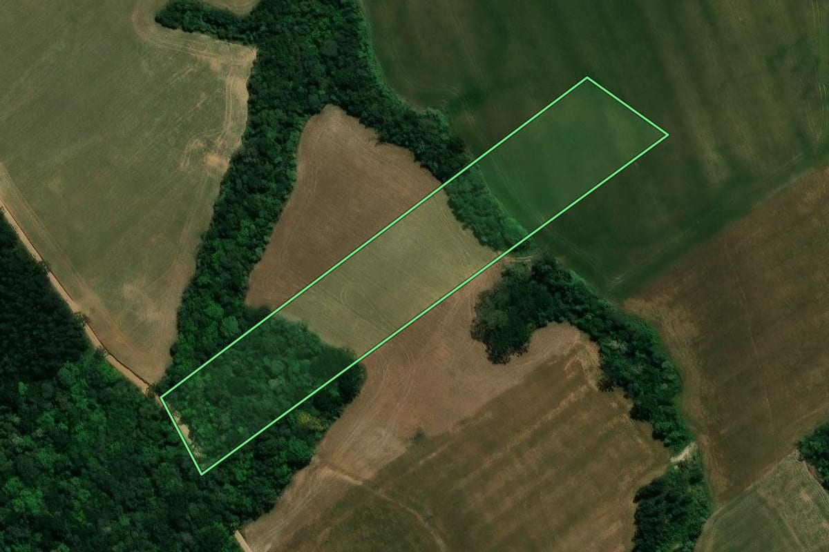 Imagem de satélite do imóvel rural em Prudentópolis (PR), com o contorno declarado no CAR desenhado por cima.