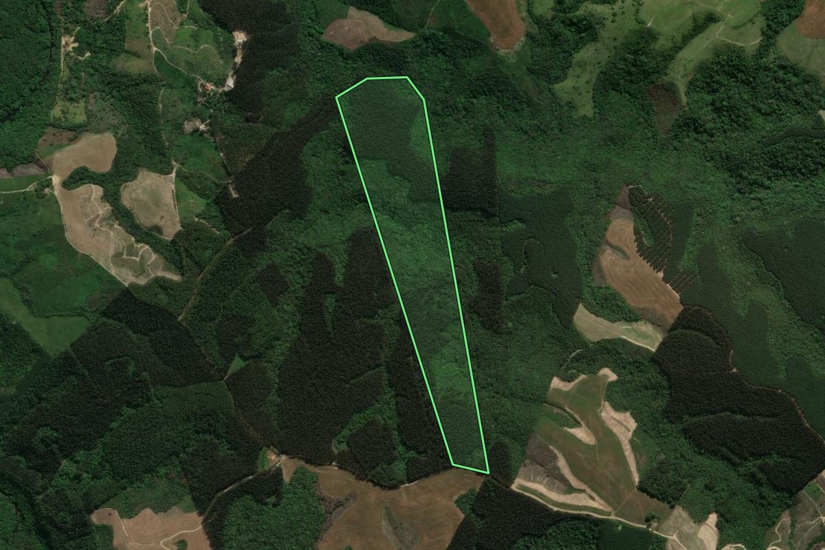 Imagem de satélite do imóvel rural em Prudentópolis (PR), com o contorno declarado no CAR desenhado por cima.