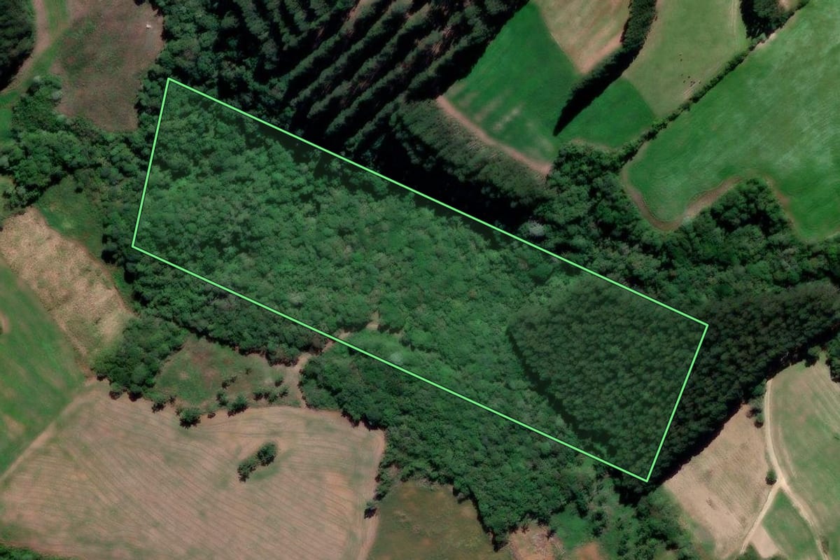 Imagem de satélite do imóvel rural em Prudentópolis (PR), com o contorno declarado no CAR desenhado por cima.