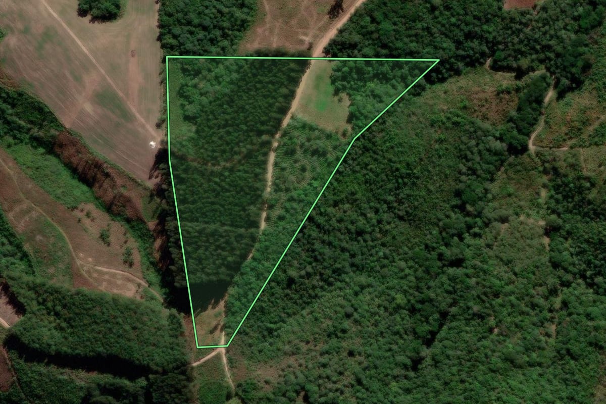 Imagem de satélite do imóvel rural em Prudentópolis (PR), com o contorno declarado no CAR desenhado por cima.