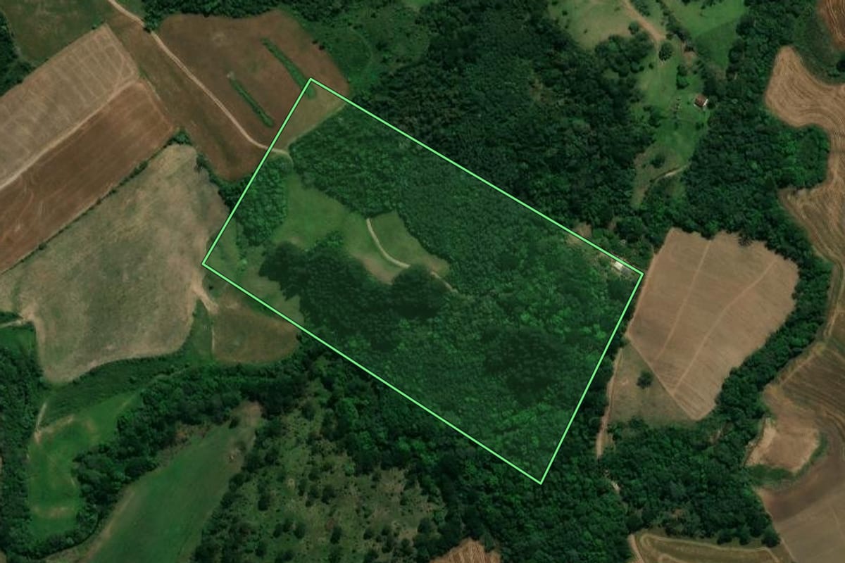 Imagem de satélite do imóvel rural em Prudentópolis (PR), com o contorno declarado no CAR desenhado por cima.