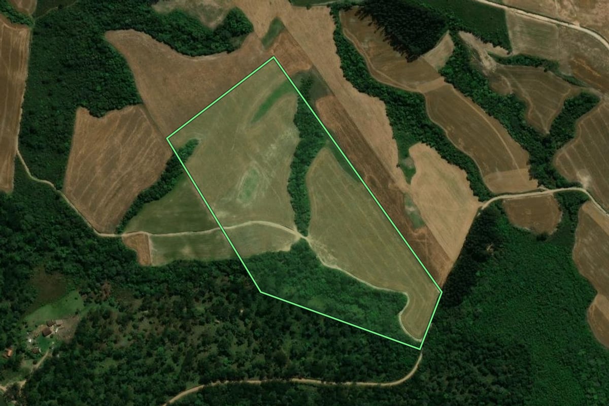 Imagem de satélite do imóvel rural em Prudentópolis (PR), com o contorno declarado no CAR desenhado por cima.