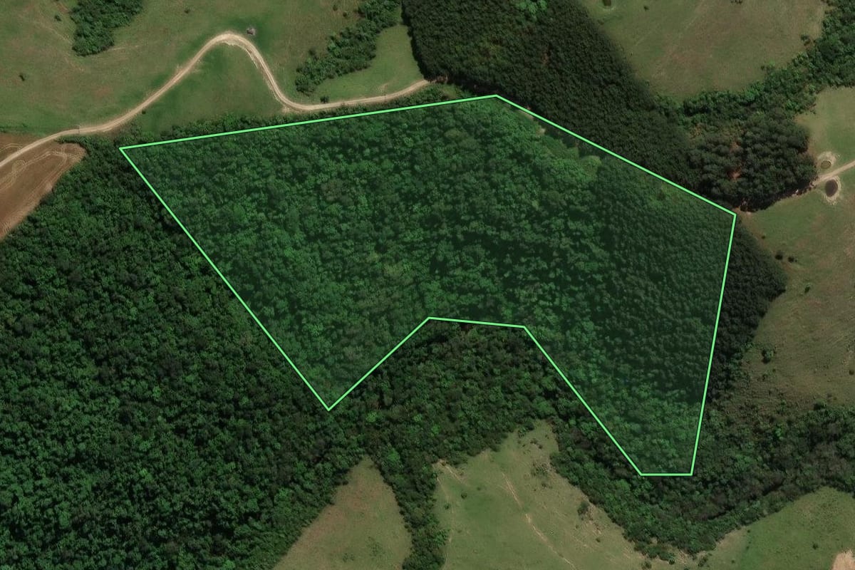 Imagem de satélite do imóvel rural em Prudentópolis (PR), com o contorno declarado no CAR desenhado por cima.