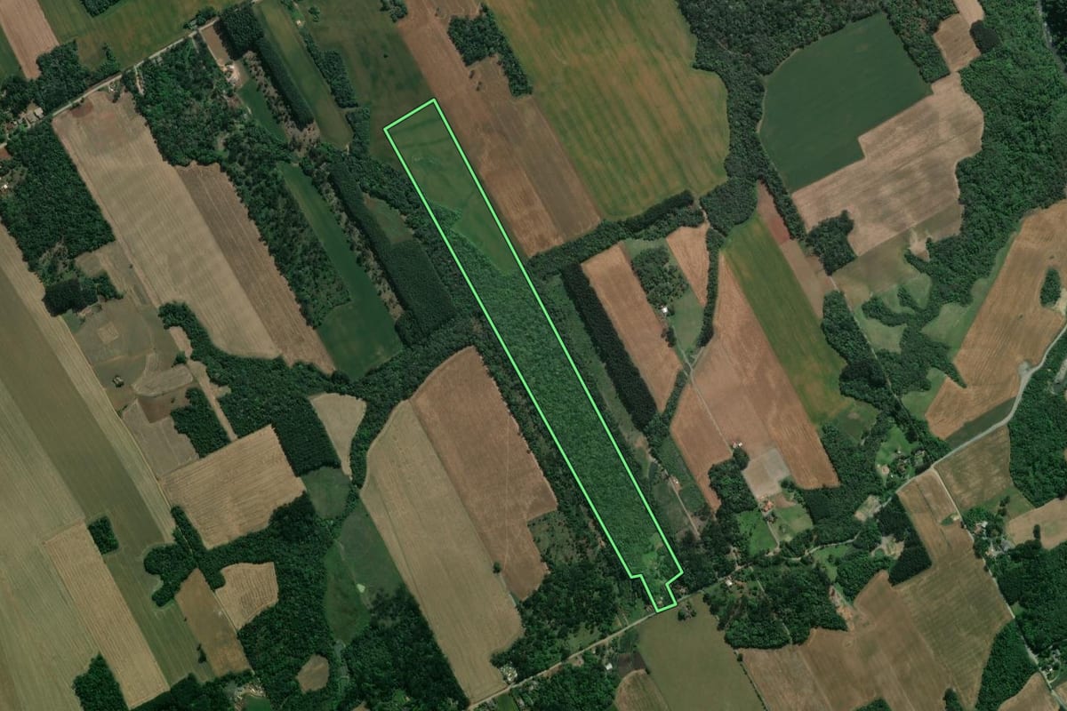 Imagem de satélite do imóvel rural em Prudentópolis (PR), com o contorno declarado no CAR desenhado por cima.