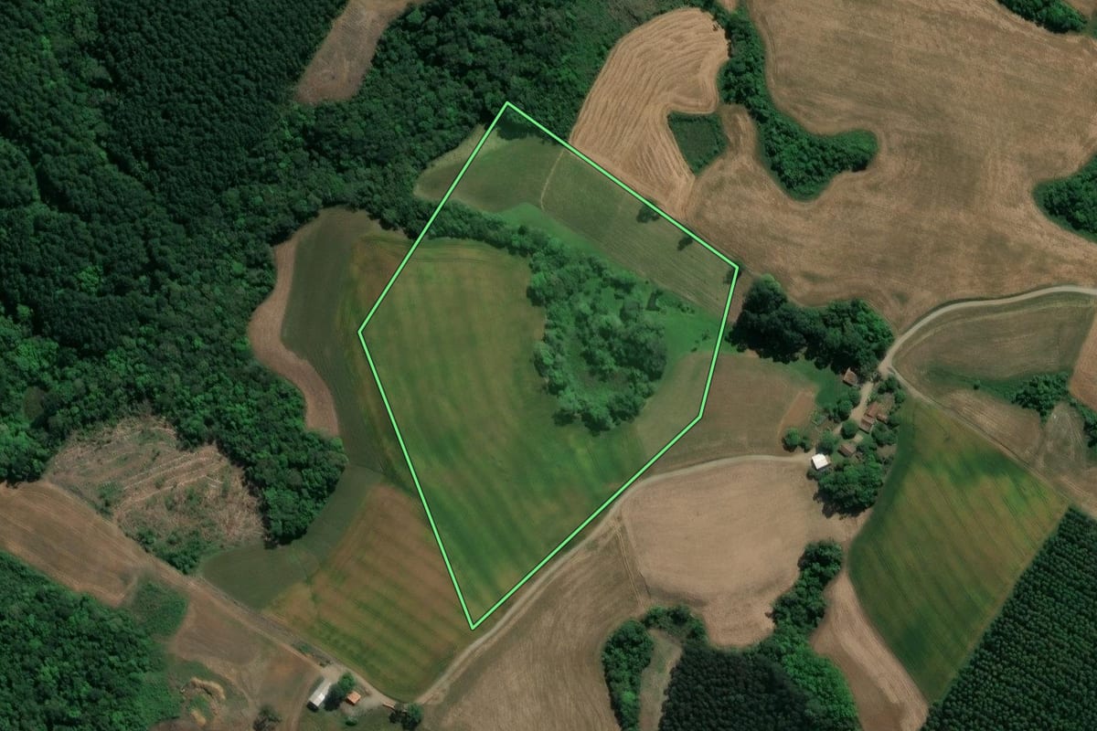 Imagem de satélite do imóvel rural em Prudentópolis (PR), com o contorno declarado no CAR desenhado por cima.