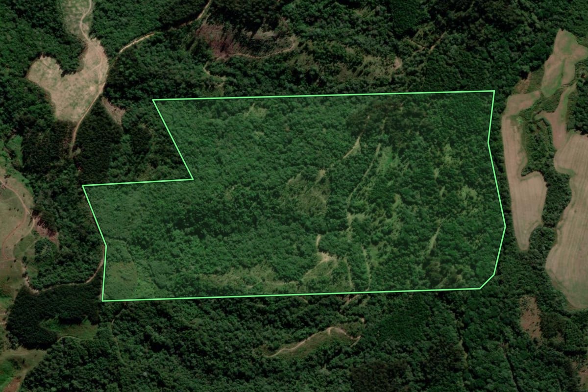 Imagem de satélite do imóvel rural em Prudentópolis (PR), com o contorno declarado no CAR desenhado por cima.