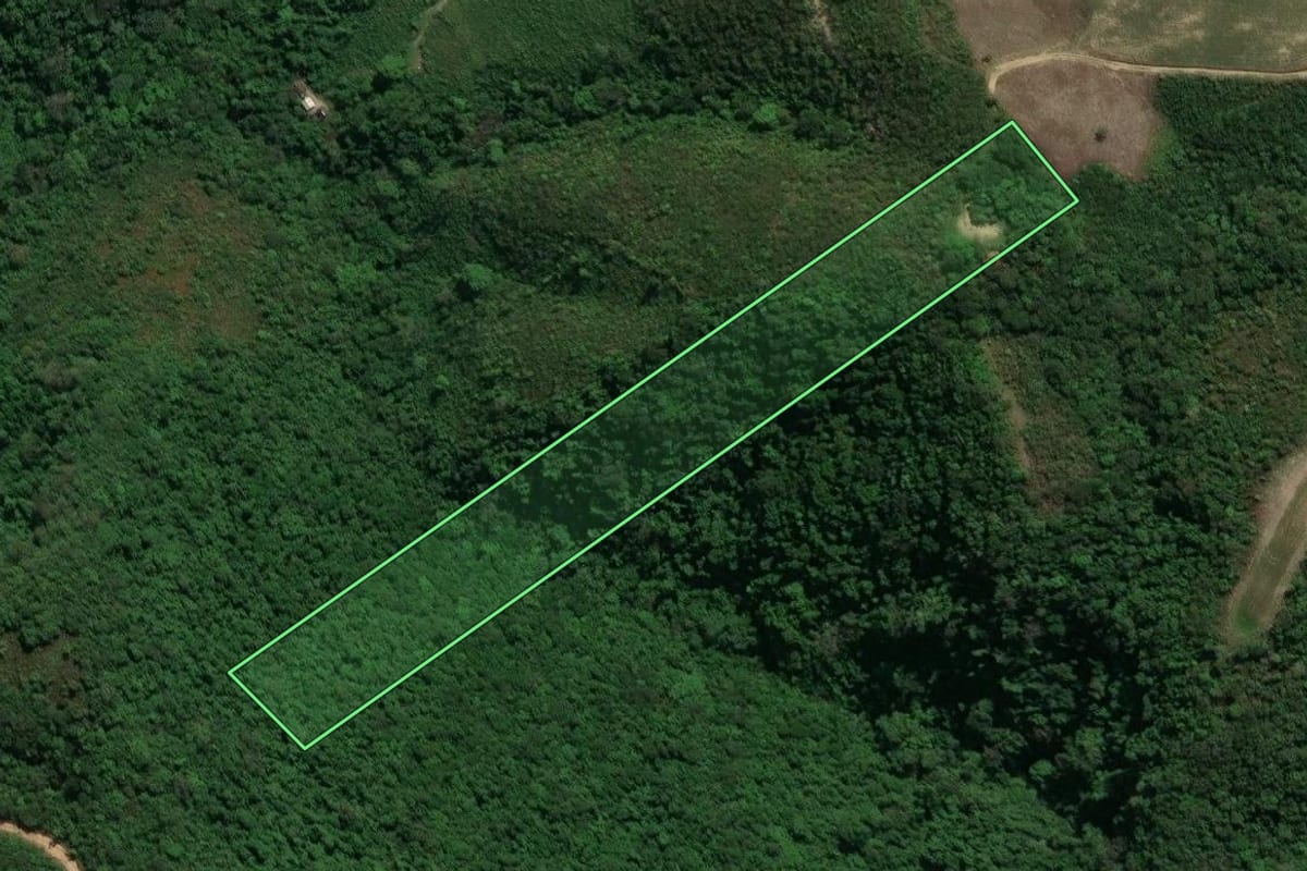 Imagem de satélite do imóvel rural em Prudentópolis (PR), com o contorno declarado no CAR desenhado por cima.