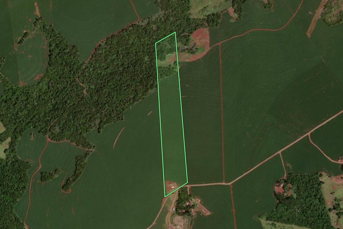 Imagem de satélite do imóvel rural em Quarto Centenário (PR), com o contorno declarado no CAR desenhado por cima.