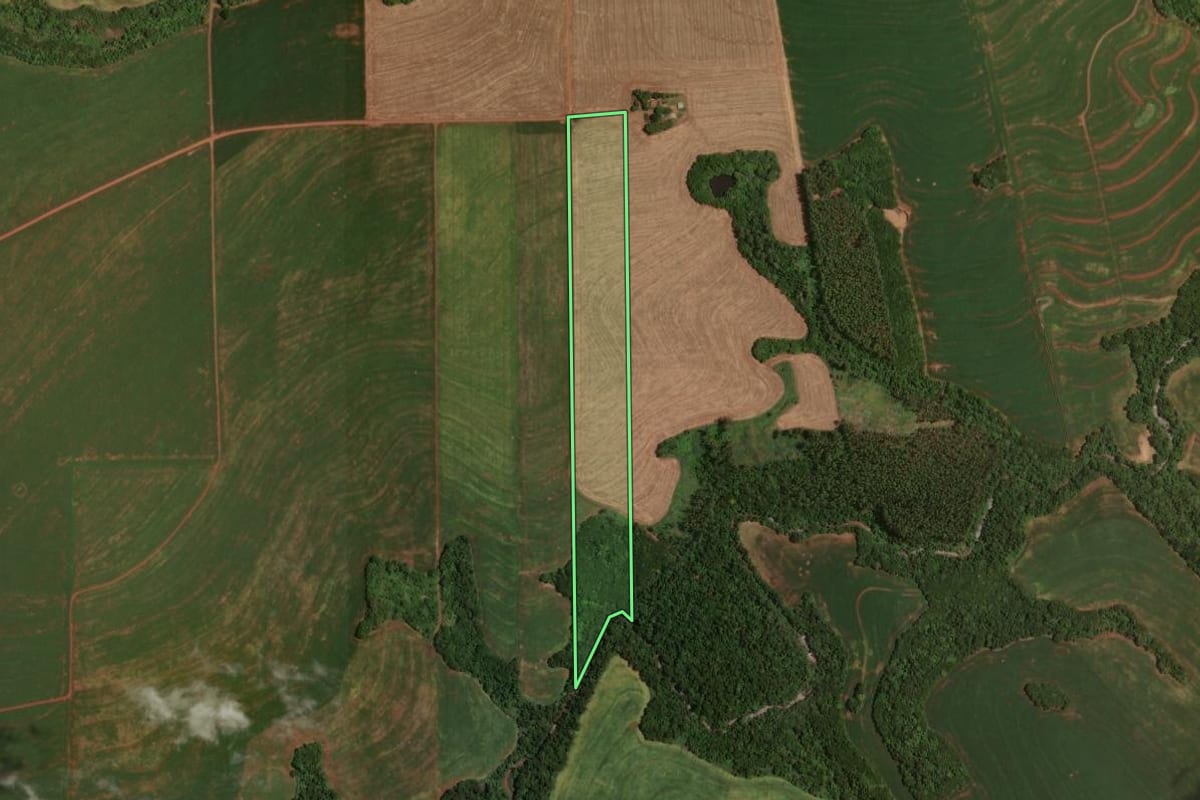 Imagem de satélite do imóvel rural em Quarto Centenário (PR), com o contorno declarado no CAR desenhado por cima.