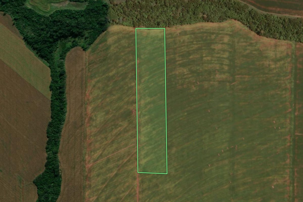 Imagem de satélite do imóvel rural em Quarto Centenário (PR), com o contorno declarado no CAR desenhado por cima.