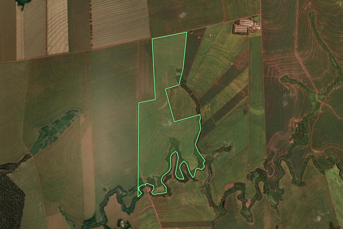 Imagem de satélite do imóvel rural em Quarto Centenário (PR), com o contorno declarado no CAR desenhado por cima.