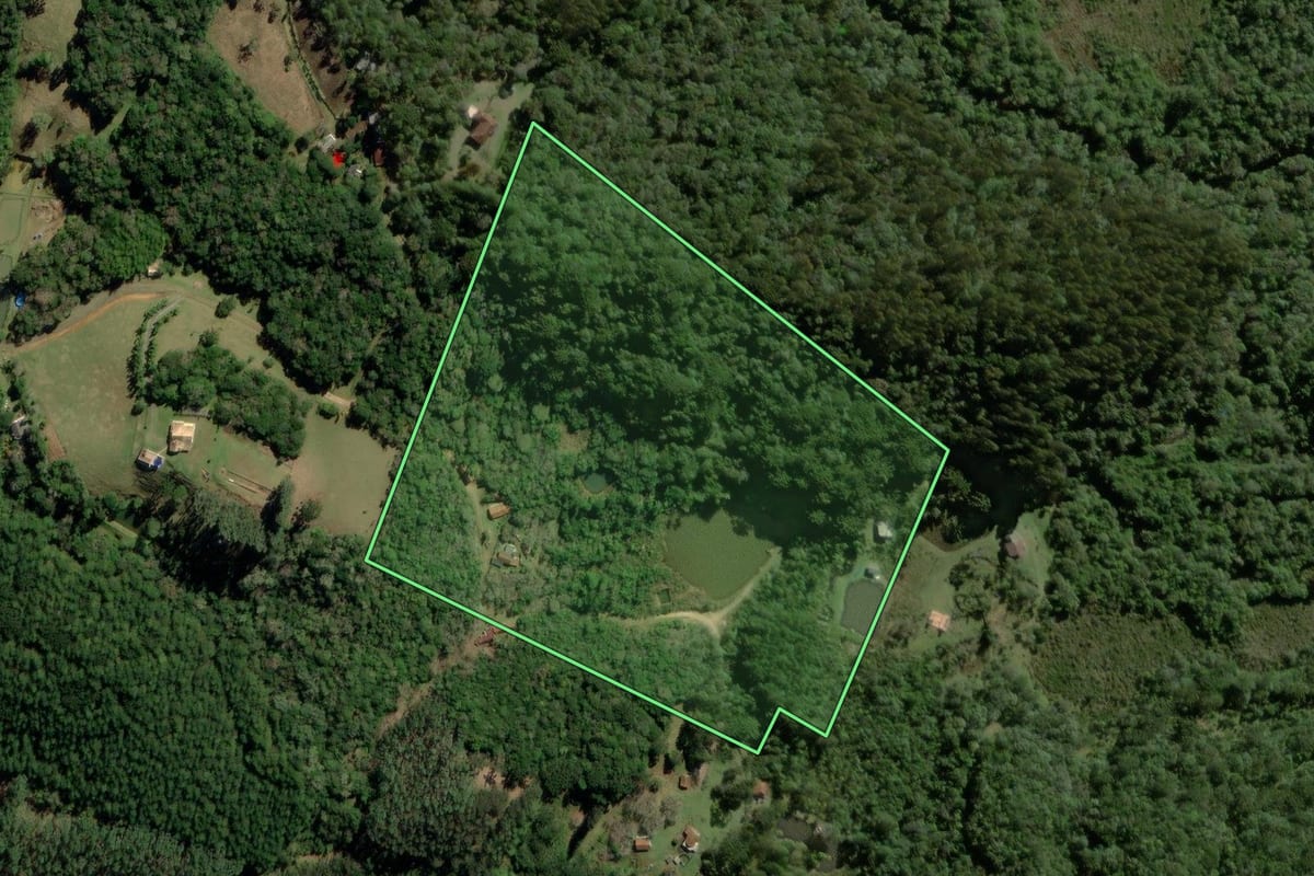Imagem de satélite do imóvel rural em Quatro Barras (PR), com o contorno declarado no CAR desenhado por cima.