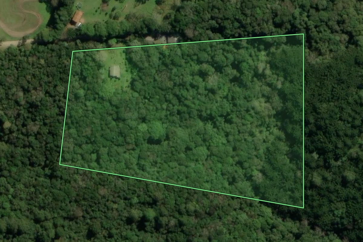Imagem de satélite do imóvel rural em Quatro Barras (PR), com o contorno declarado no CAR desenhado por cima.