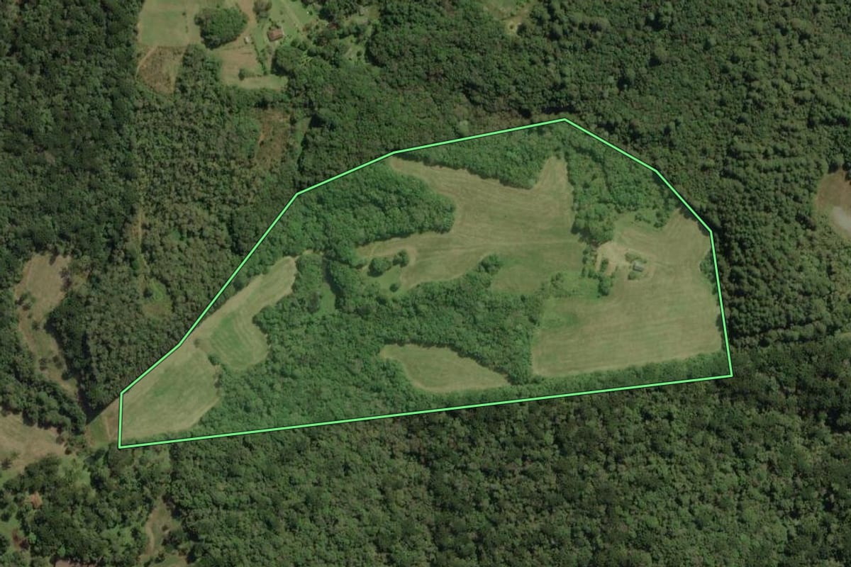 Imagem de satélite do imóvel rural em Quatro Barras (PR), com o contorno declarado no CAR desenhado por cima.