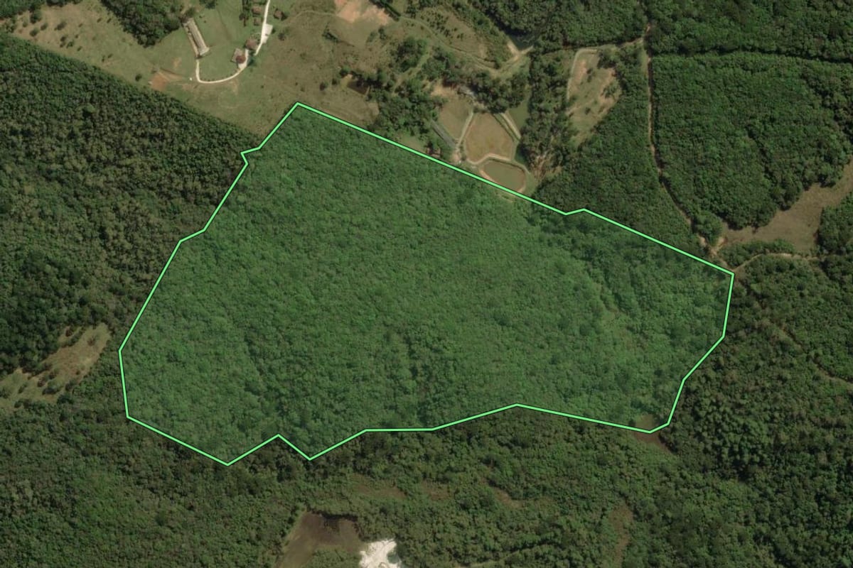 Imagem de satélite do imóvel rural em Quatro Barras (PR), com o contorno declarado no CAR desenhado por cima.