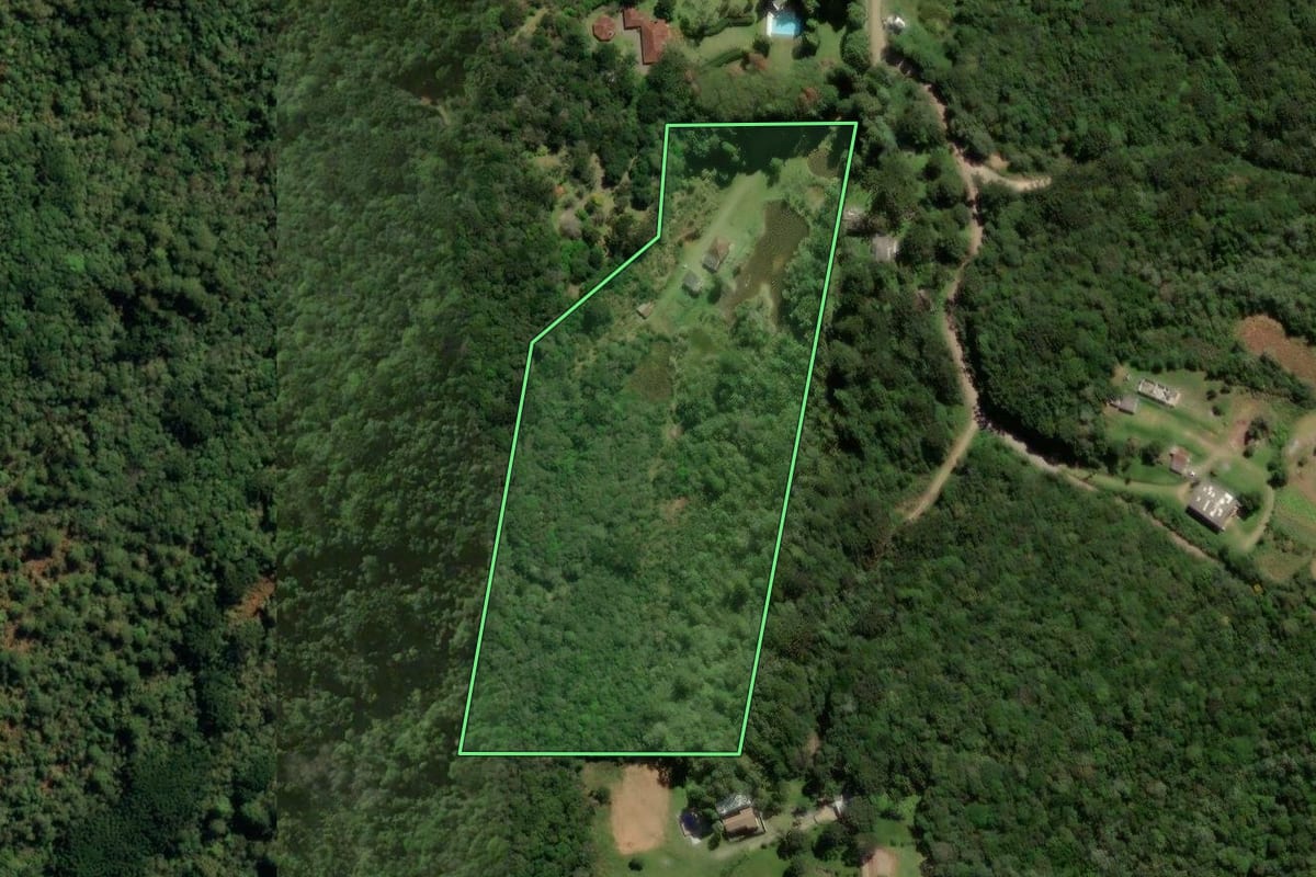 Imagem de satélite do imóvel rural em Quatro Barras (PR), com o contorno declarado no CAR desenhado por cima.