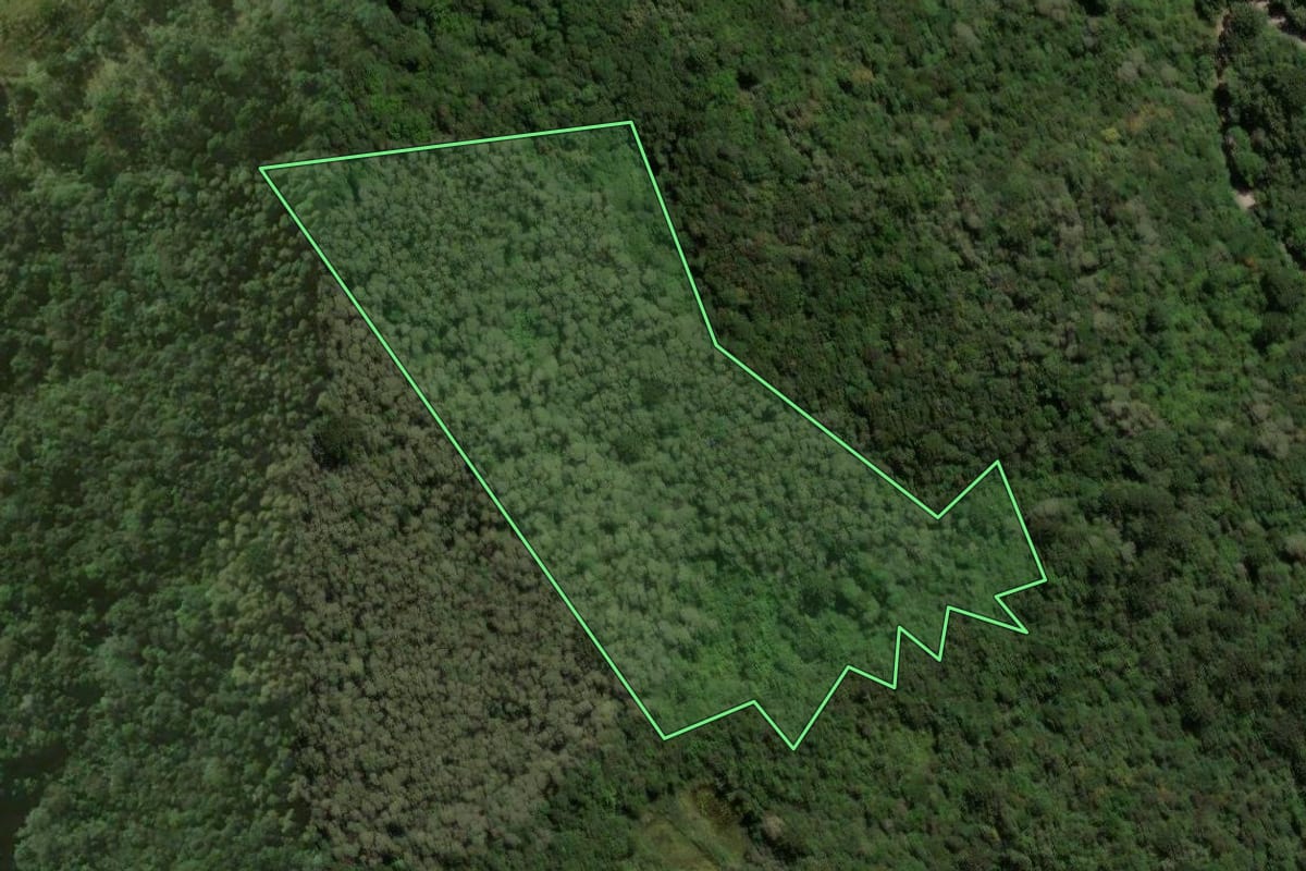 Imagem de satélite do imóvel rural em Quatro Barras (PR), com o contorno declarado no CAR desenhado por cima.